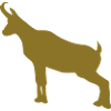 chamois wild animal figure