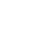 pilot