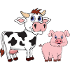 Cow pig