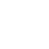 Definition of Engineer