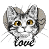 chat coeur