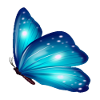 Butterfly Gift Shirt Blue Exotic Animal