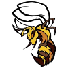 Bee/hornet with sting