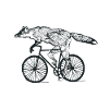 Roue vélo de renard