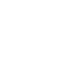 Sondeln evolution l'histoire de l'humanité