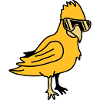 Cool Parrot Bird