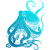 The Kraken !!! Diving divers