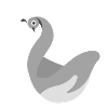 swan
