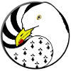 Breton seagull