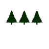 Tannenbaum