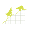 SHARES bull and bear