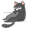 chilling cat