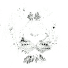 Lionhead