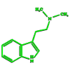 DMT