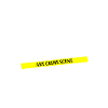 Art Crime Scene