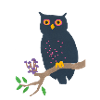 Owl and mushrooms