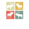 Moose