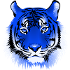 Blue tiger
