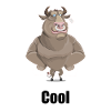 Cool