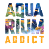 accro à l'aquarium