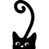 Curious Cat
