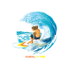 1 surfing