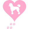 poodle
