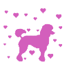 poodle