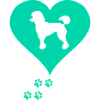 caniche