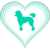 poodle