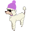 Poodle winter inflatable dog sunglasses winter