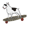 Skating Bullterrier - Skateboard Longboard Chien
