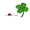 Ladybug is sewing
