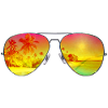 Sunny glasses