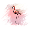 flamingo