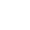 DSLR Camera icon