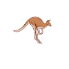 kangaroo