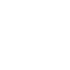 land surveyor