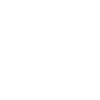 Demi-quantité Surveyor Half Ninja