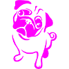 Mops in Pink
