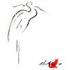 HERON