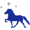 Horse with Stars