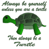 Always be a Turtle | turtle