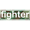 fighter
