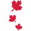 Maple leaves Canada