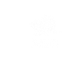 Beaver Life Animal Gift