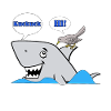 Coucou - requin