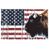 Buffalo - USA flag