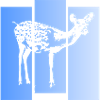 Reh Rehe Rehe Chevreuil