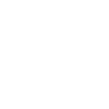 Allgäu Kuh